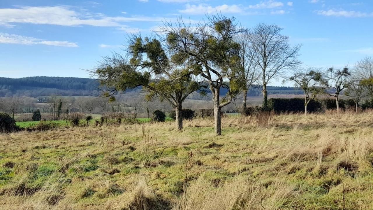 Gite Cottage Chaleureux En Pleine Campagne Vue Sur Les Monts Et Forets Et Le Chateau De Carrouges ภายนอก รูปภาพ